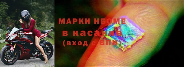 гидра Инсар