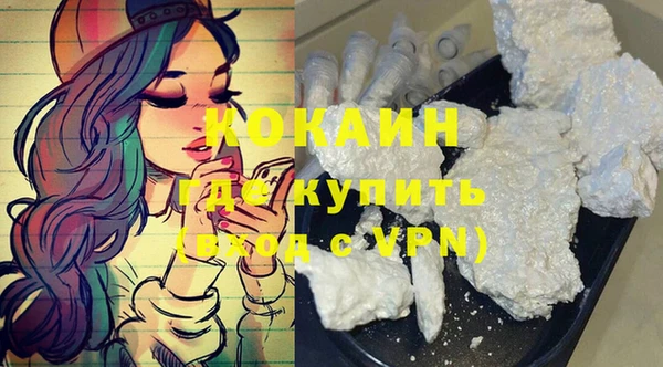 твердый Инта
