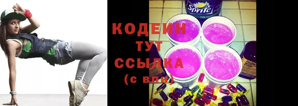 твердый Инта
