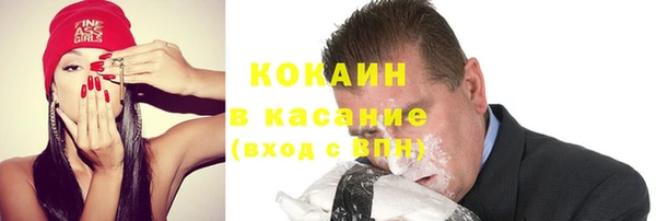 твердый Инта