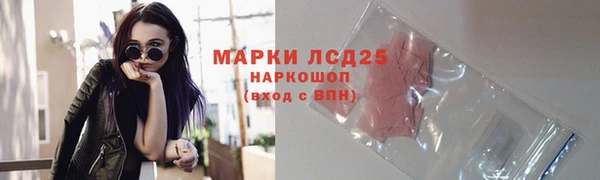 твердый Инта