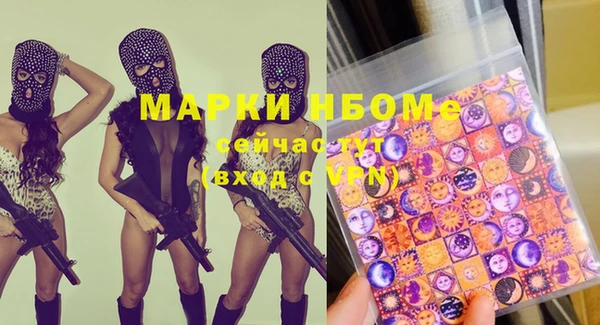 твердый Инта