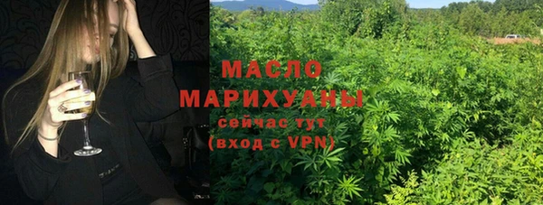 гидра Инсар