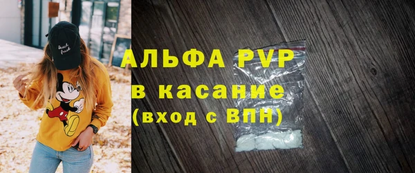 гидра Инсар