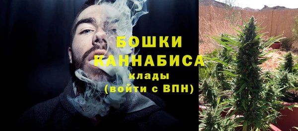 гидропоника Каменногорск