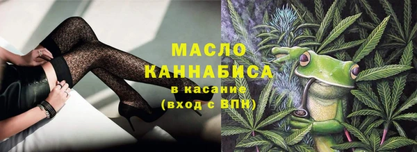 твердый Инта