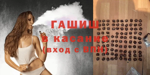 гидра Инсар