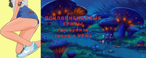 гидра Инсар