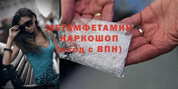 гидра Инсар