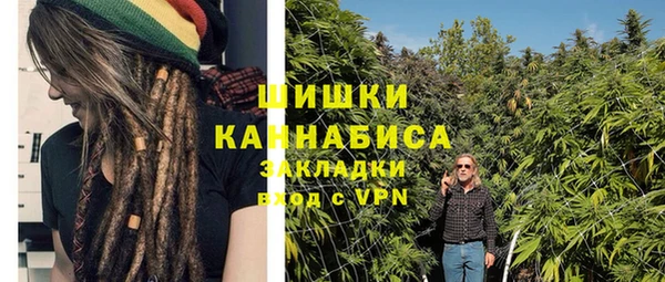 твердый Инта