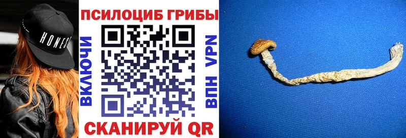 Купить где  Лихославль  Галлюциногенные грибы MAGIC MUSHROOMS 
